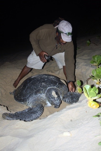 Thonga Beach Lodge: A site of significance - Isibindi Africa Lodges