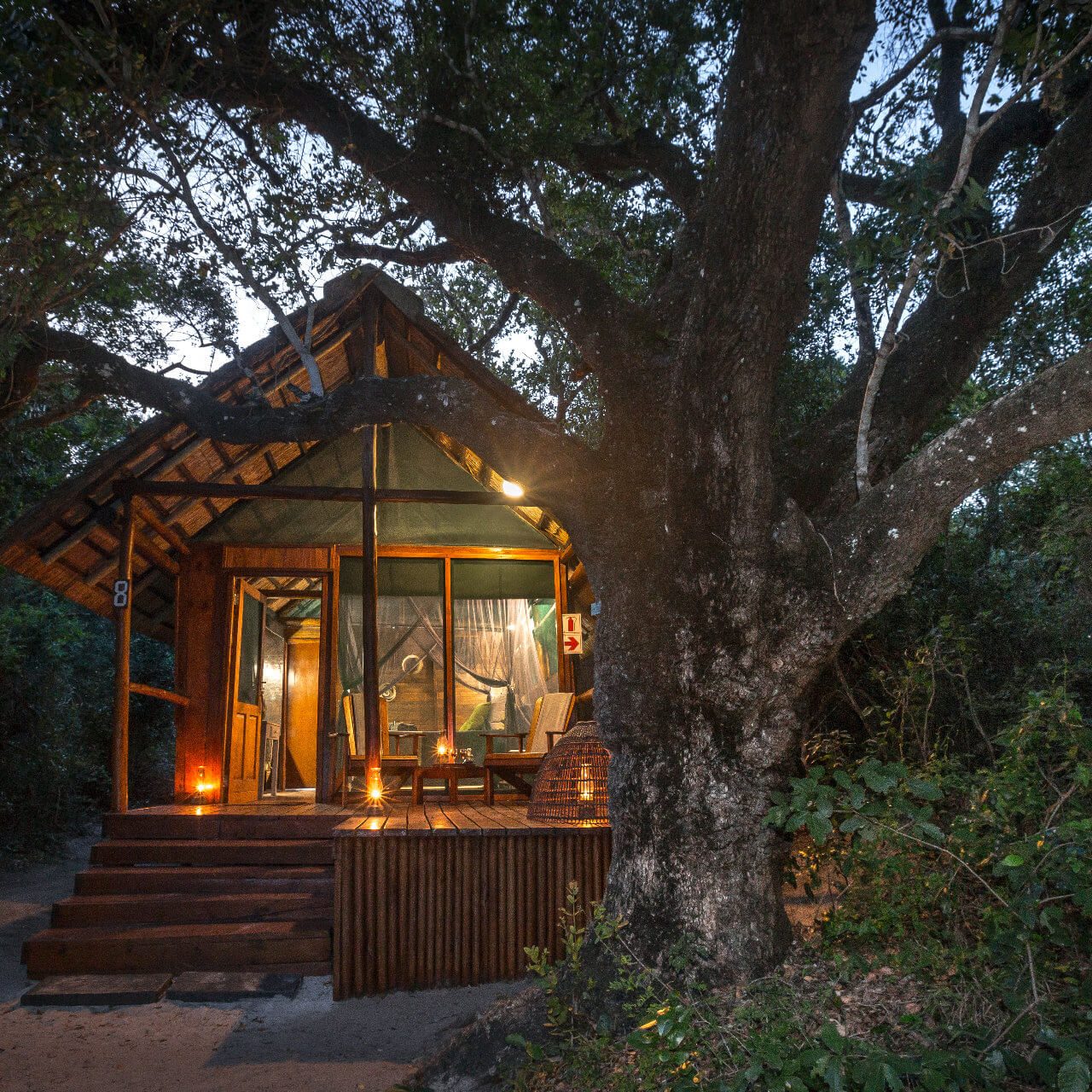 Kosi Forest Lodge bedroom exterior